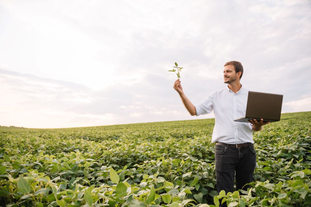 © Serhii; Adobe Stock