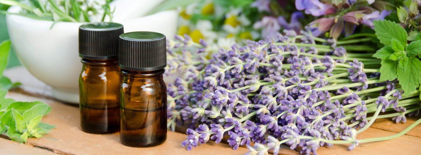 © Botamochy | AdobeStock