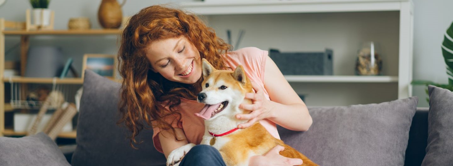 © silverkblack; AdobeStock